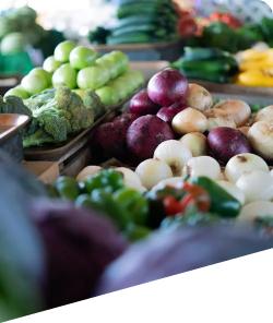 Cung cấp nông sản sạch