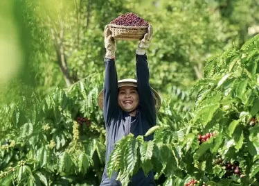 Doanh nghiệp Việt livestream kể chuyện 'xông pha' ra thế giới